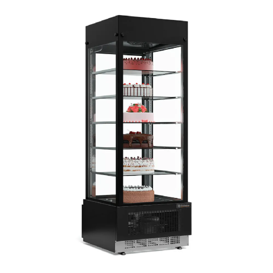 Vitrine Refrigerada Fixa Gelopar Para Carnes e Bolos GEVF-075 PR-220v